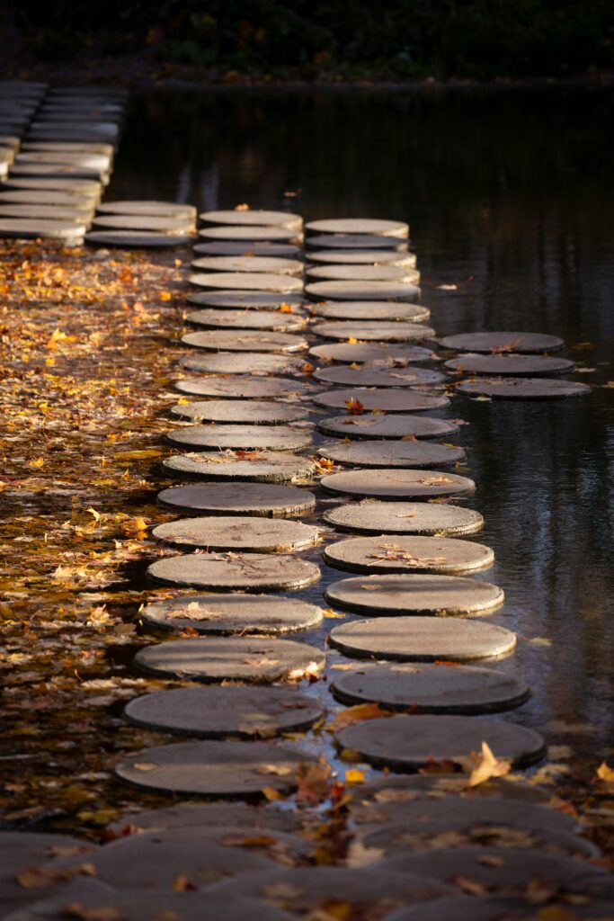 Circular stone path over pond surrounded by autumn leaves, tranquil scene.